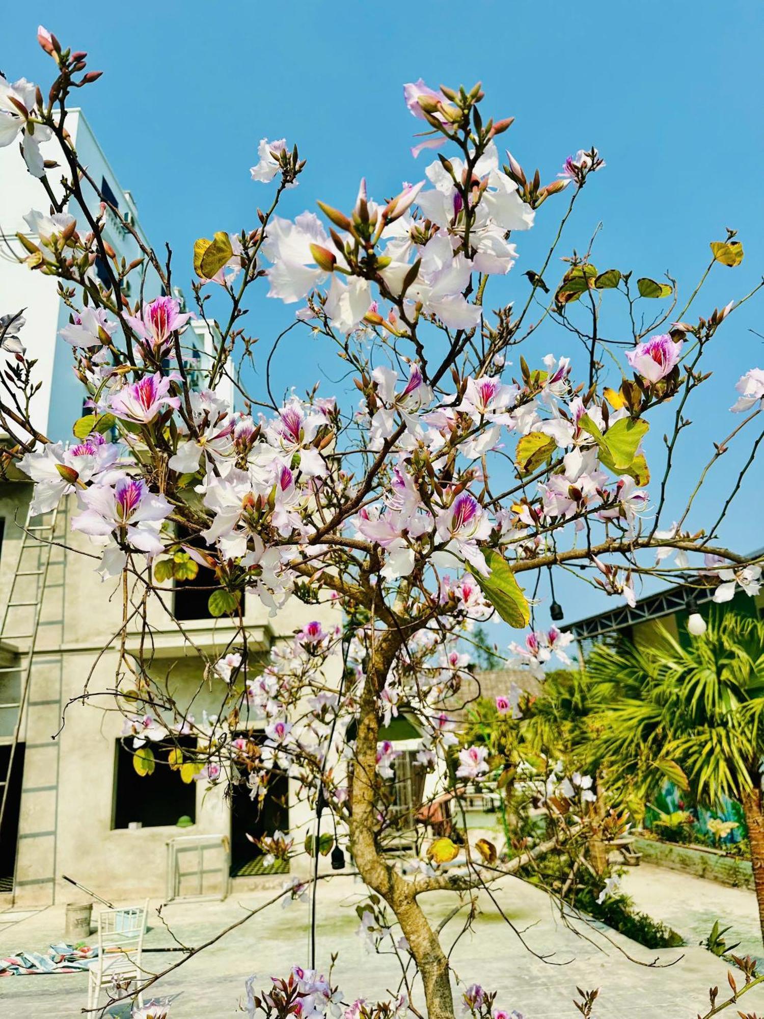 Minh Chau Beach Resort กว่างนิงห์ ภายนอก รูปภาพ